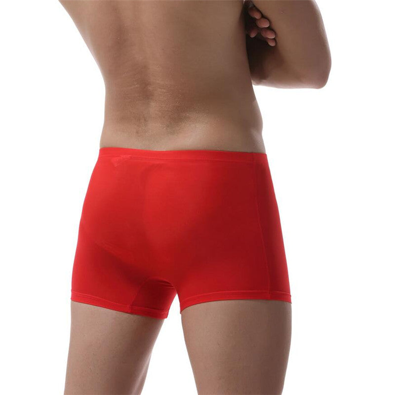 Ice Silk Transparent Underwear Men's