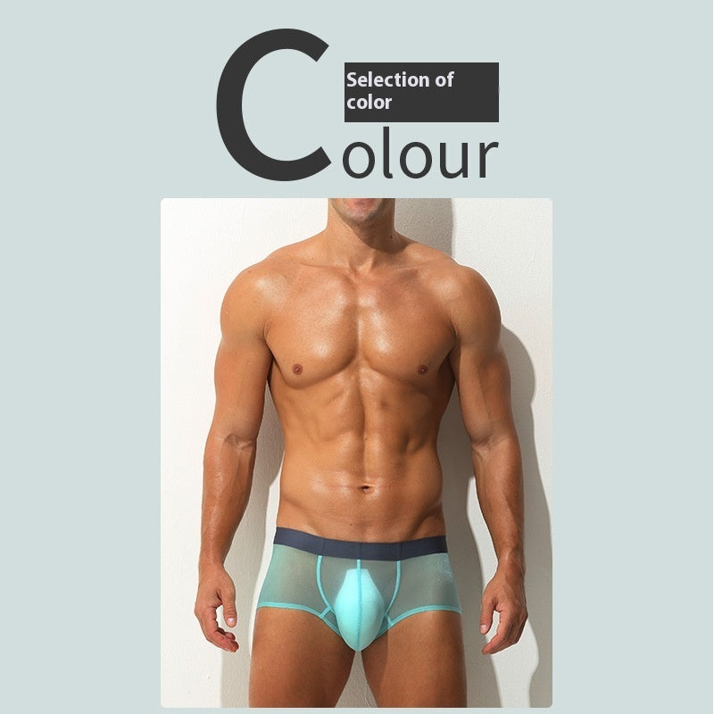 Men's Boxers Ultra-thin Transparent Ice Silk Low Waist Sexy underwear