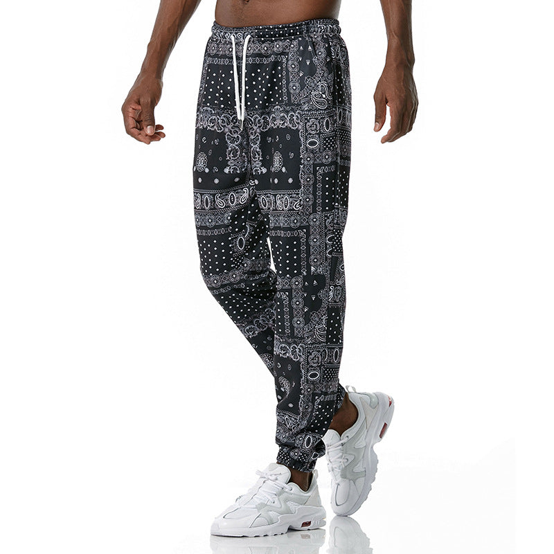 Ethnic printed slacks for men