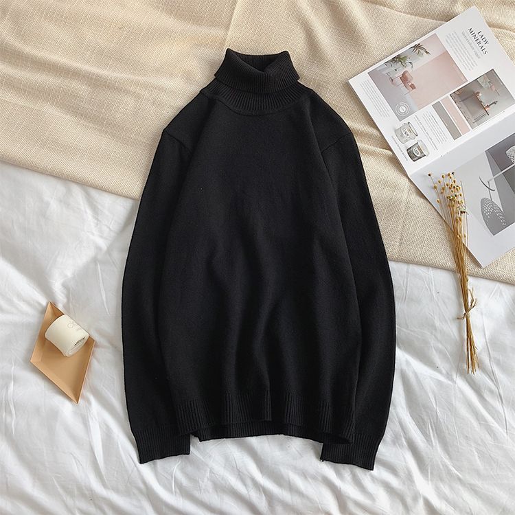 Turtleneck Slim Sweater