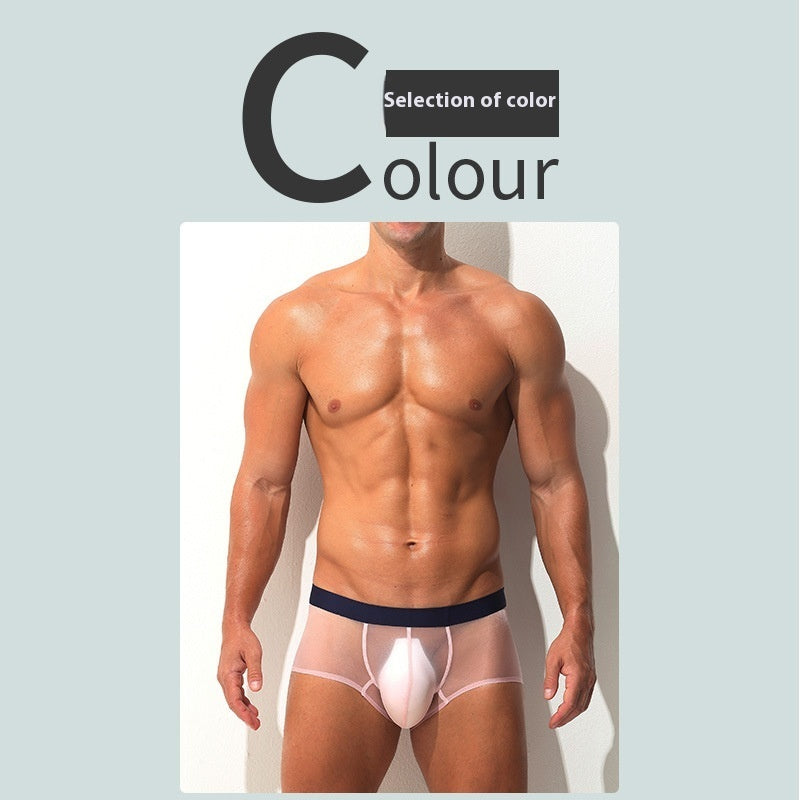 Men's Boxers Ultra-thin Transparent Ice Silk Low Waist Sexy underwear