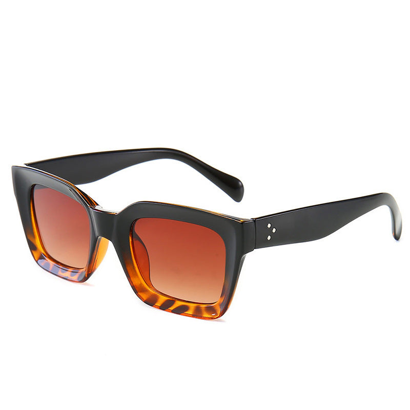 Fashion sunglasses for men