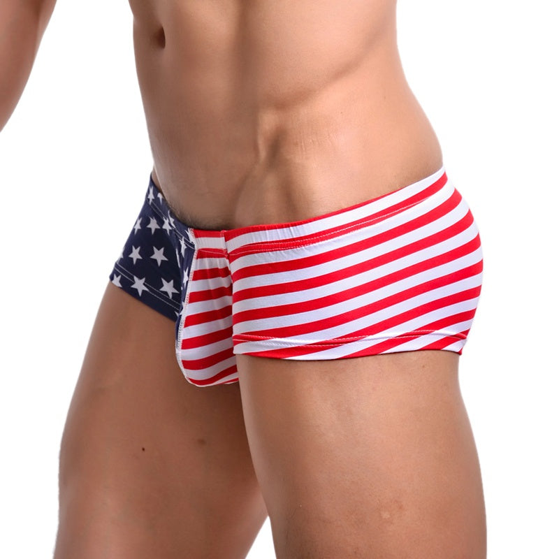 Flag printed shorts