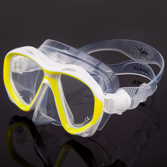 Diving Swimming Mask