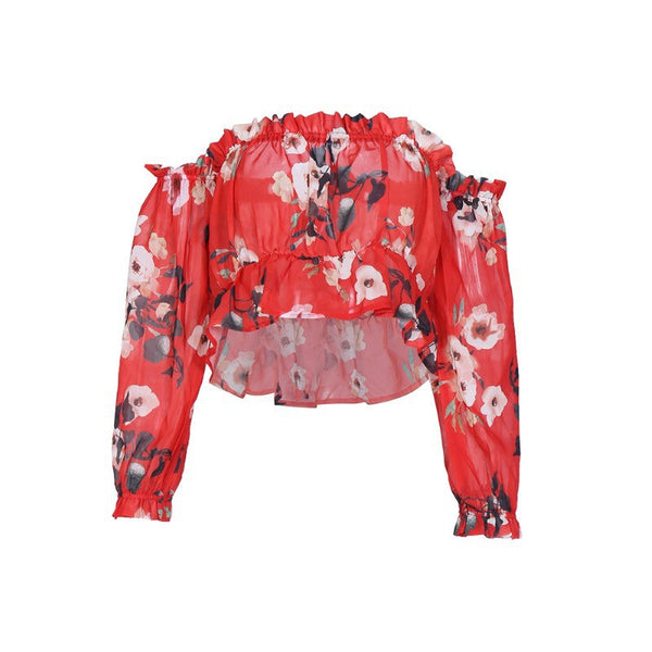 Net Gauze Print Long Sleeves Tops