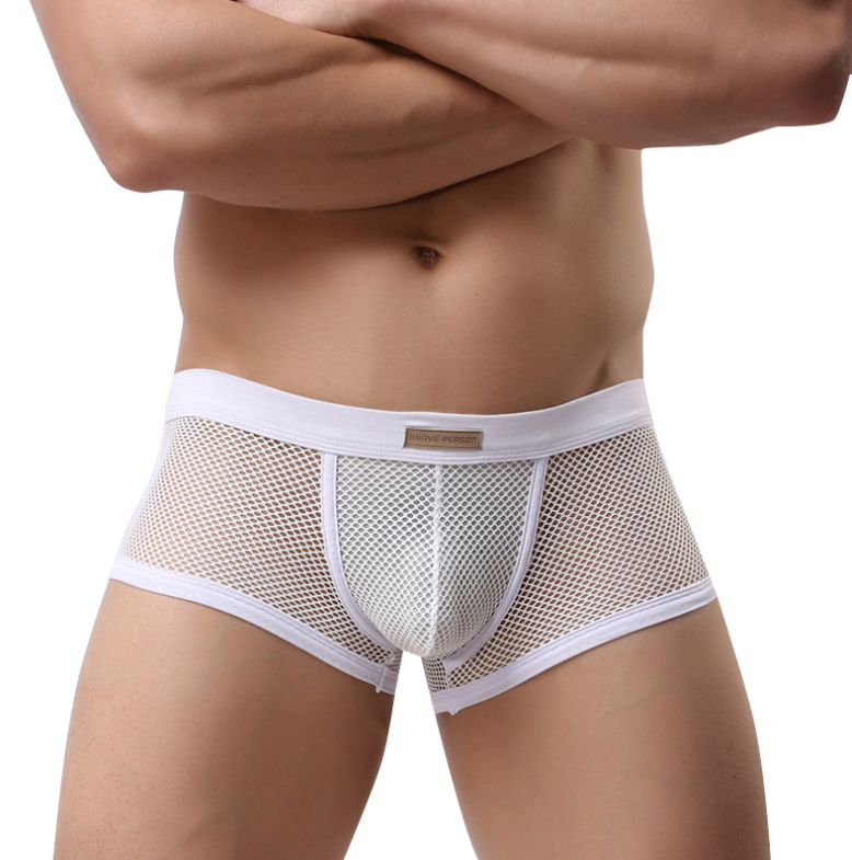 Mesh Breathable Sexy Men's Underwear