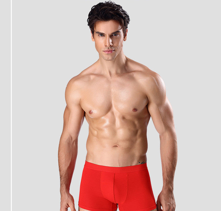 Men's Underwear Summer Breathable Young And Middle-aged