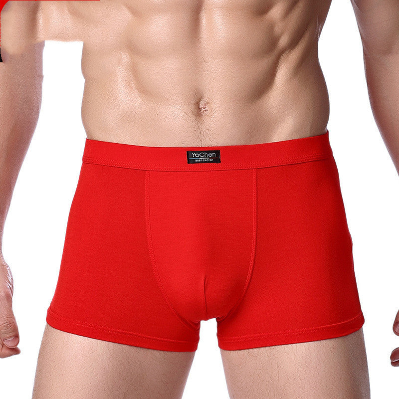 Men's Underwear Men's Boxer Briefs