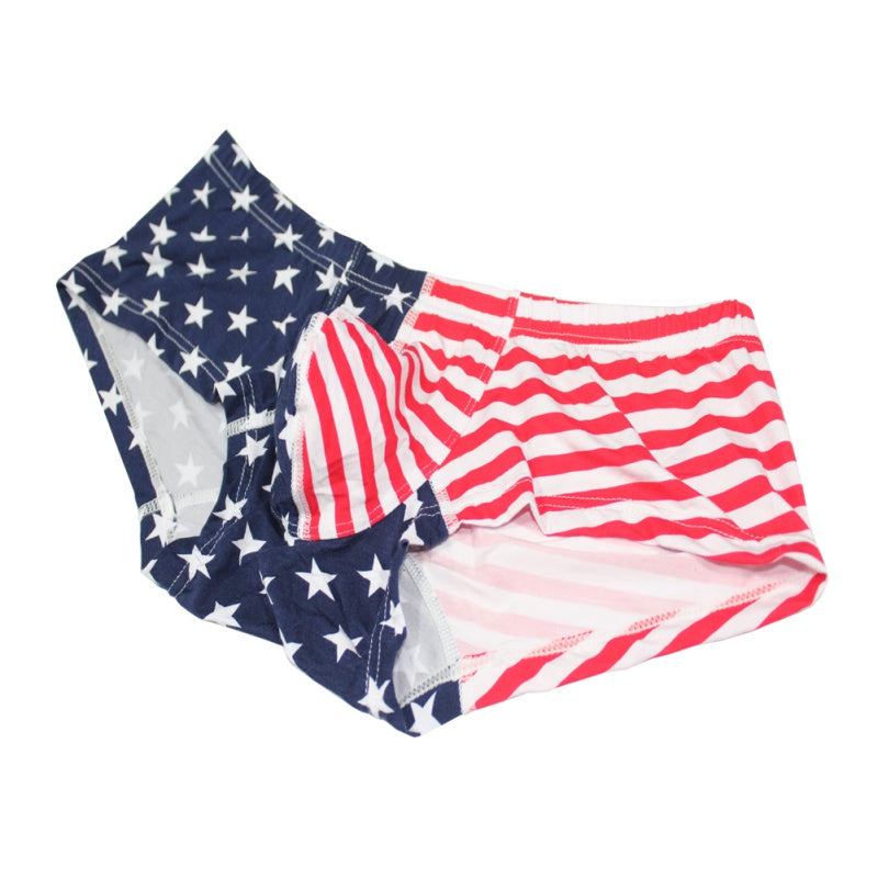 Flag printed shorts