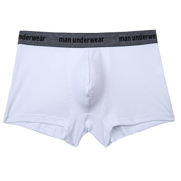 Simple Solid Color Cotton Underwear Men's Boxer Briefs