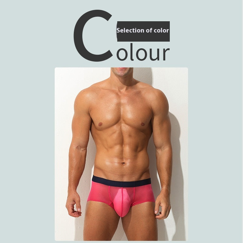 Men's Boxers Ultra-thin Transparent Ice Silk Low Waist Sexy underwear