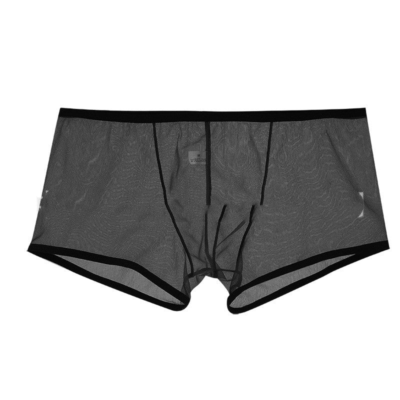 Men's Mesh Low Waist Panties