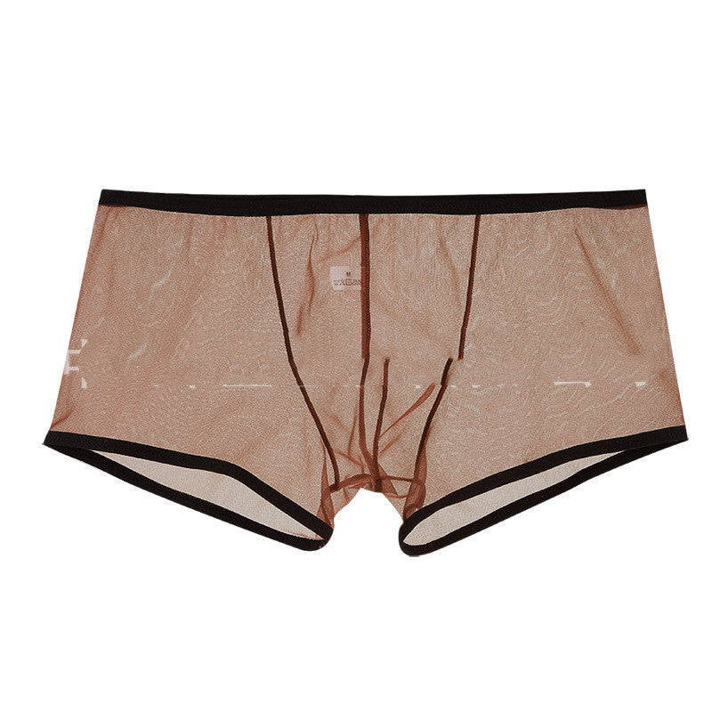 Men's Mesh Low Waist Panties