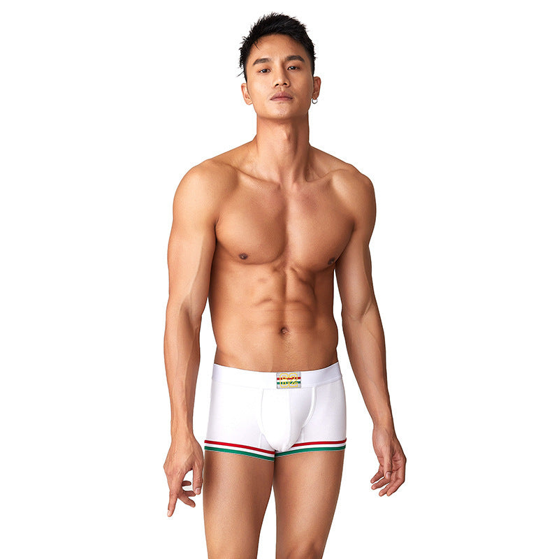 Men's Printed briefs