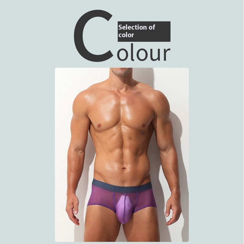 Men's Boxers Ultra-thin Transparent Ice Silk Low Waist Sexy underwear