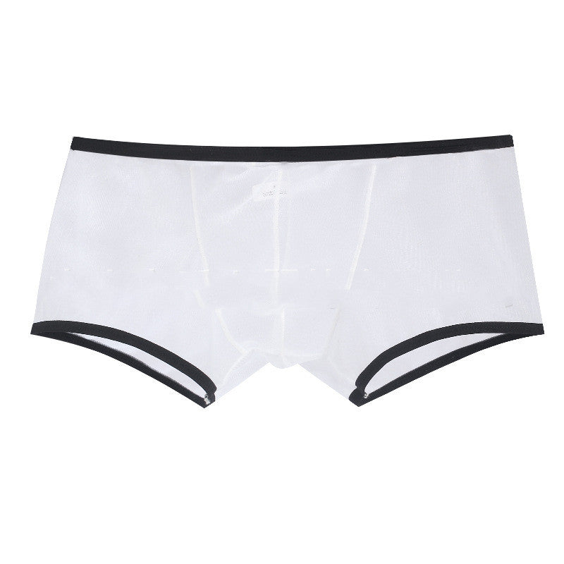 Men's Mesh Low Waist Panties