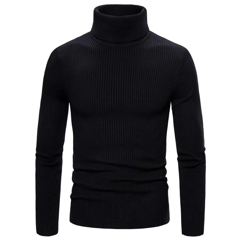 Men's Solid Color Turtleneck Slim Fit Sweater