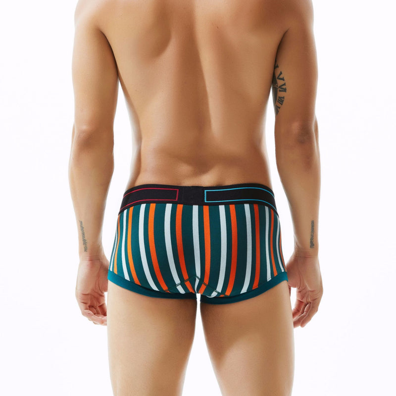 Striped Men's Underwear Rainbow Sport Boxer