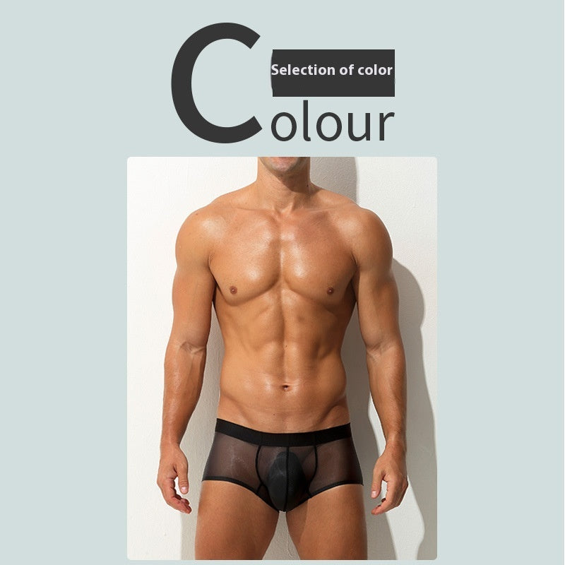 Men's Boxers Ultra-thin Transparent Ice Silk Low Waist Sexy underwear