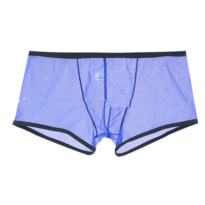 Men's Mesh Low Waist Panties