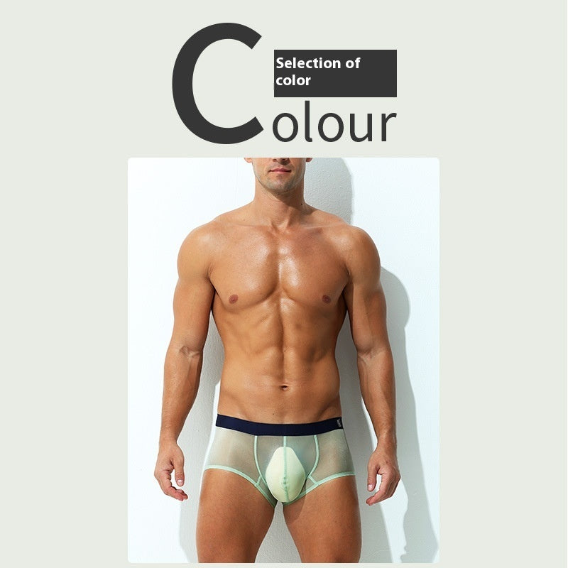 Men's Boxers Ultra-thin Transparent Ice Silk Low Waist Sexy underwear