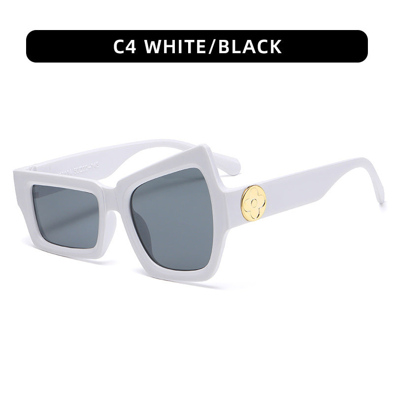 Men's Trendy Hip Hop Sunglasses