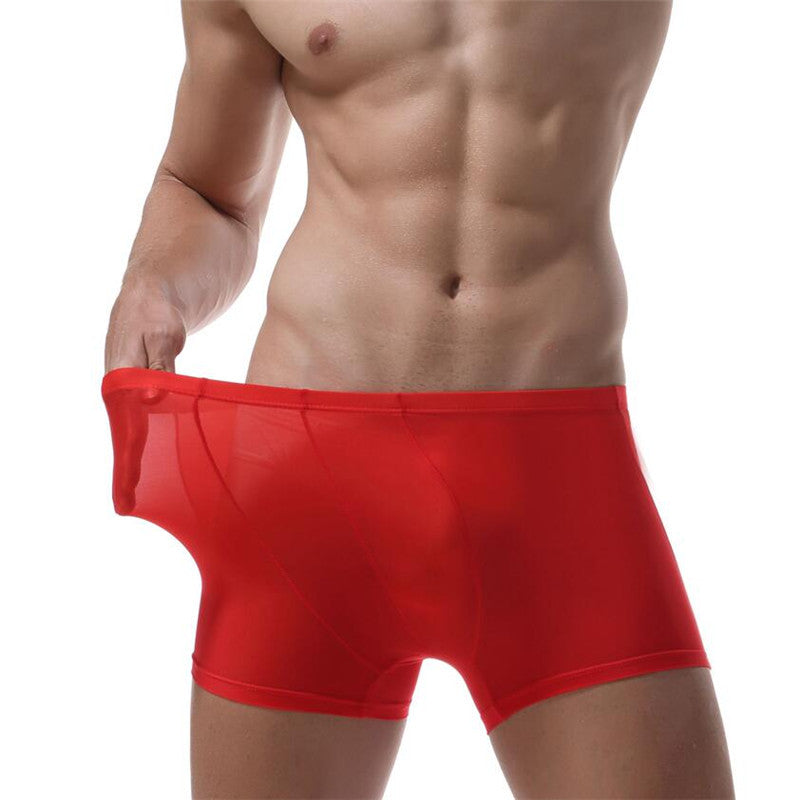 Ice Silk Transparent Underwear Men's