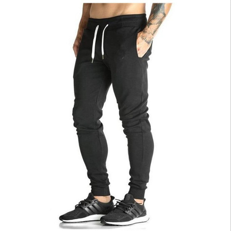 Sports and leisure fitness beam pants