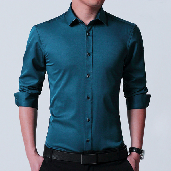 Micro-Elastic Cotton Non-Iron Professional Shirt